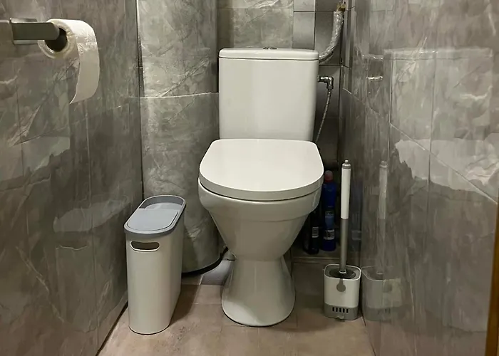 Siaures Butas קובנה